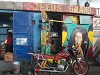 Bob Marley un vrai culte